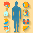 Learn Anatomy & Physiology App ícone