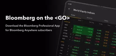 Bloomberg Professional