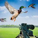 Chasse au canard avec pistolet APK