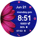 Daisy Vibrant Bloom APK
