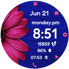 Daisy Vibrant Bloom иконка