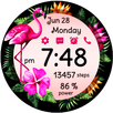 Flamingo Bloom APK