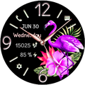 Flamingo Bloom Analog