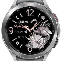 Flamingo Bloom Analog скриншот 1