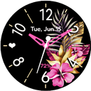 Summer Bloom Analog APK