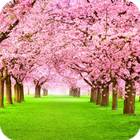 Blooming Tree Wallpaper Zeichen