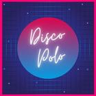 Disco Polo Radio icône