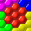 Color Match Puzzle - Fill the Hexa Board