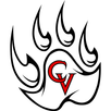 Castle View Football Sabercat APK