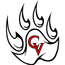 Castle View Football Sabercat APK