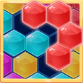Hexa Block Puzzle 2019