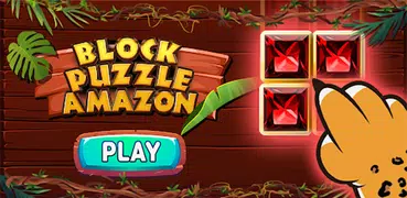 Block Puzzle Amazon