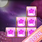 Puzzle bloqueado - secreto icono