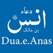 Dua E anas offline دعائے انس আইকন