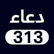 Dua313 ícone