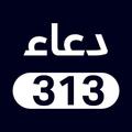 Dua313