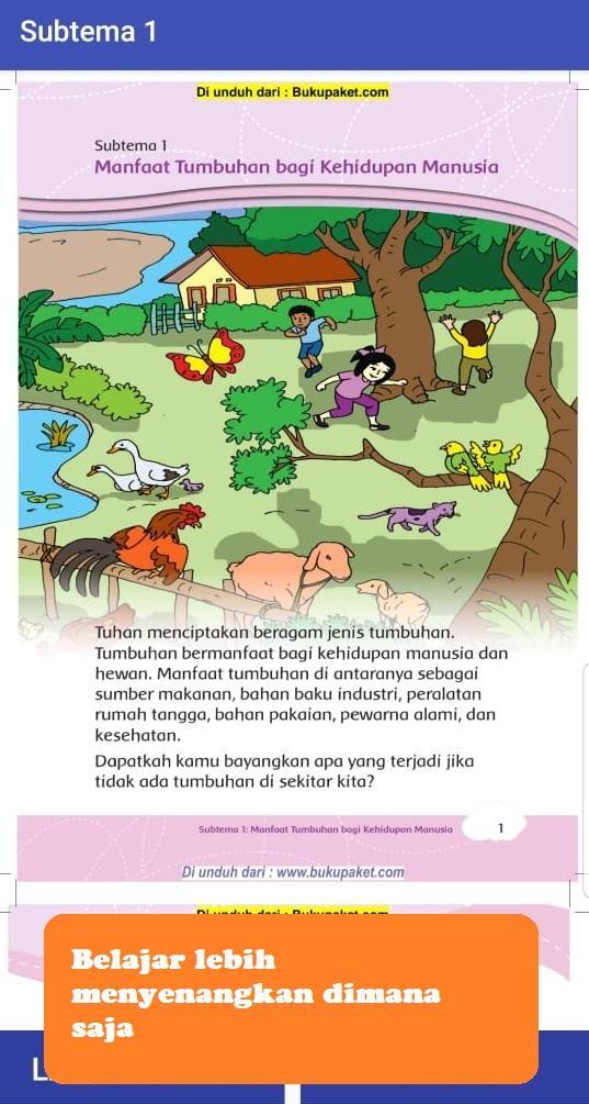 Manfaat Tumbuhan Lumut Bagi Kehidupan Manusia