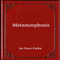 Metamorphosis Affiche