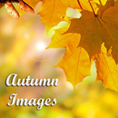 Autumn Images aplikacja