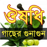 ঔষধি গাছের গুনাগুণ-(BD Harbal Medicine) icône