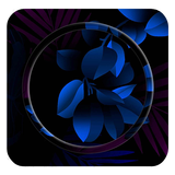 Blooming icône