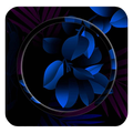 Blooming EMUI | Magic UI Theme