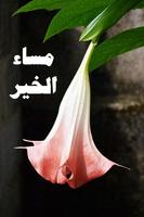 صور مساء الخير Ekran Görüntüsü 1