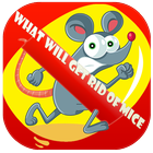 Mice In House simgesi