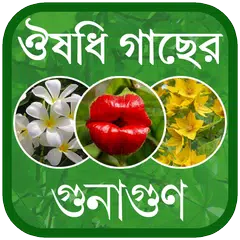 download Herbal Medicine Bangla - ভেষজ APK