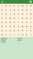 Brazilian cities Word Search پوسٹر