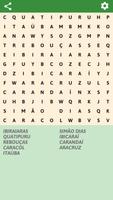 Brazilian cities Word Search اسکرین شاٹ 2