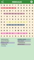 Brazilian cities Word Search اسکرین شاٹ 3