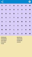 Cats Word Search ポスター
