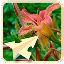 Stick-Puzzle (Flowers) APK