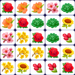 Blossom Master icon