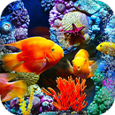 Aquarium Live Wallpaper (Wallpapers & Backgrounds)-APK