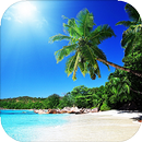 APK Beach Live Wallpaper