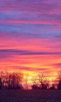 برنامه‌نما Beautiful Sky Live Wallpaper عکس از صفحه