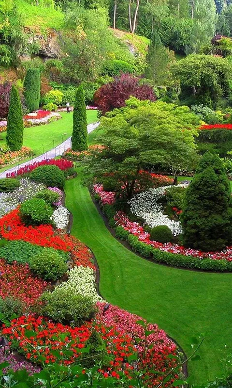 Garden Live Wallpaper APK for Android Download Garden Live Wallpaper APK for Android Download