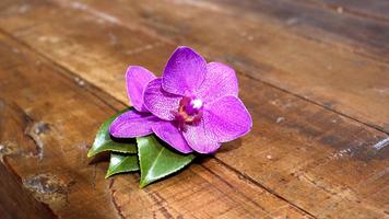 Orchids Live Wallpaper screenshot 3