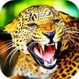 Leopard Live Wallpaper (Wallpapers & Backgrounds)