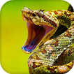 Snake Live Wallpaper