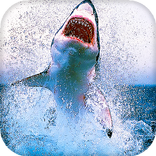 Shark Live Wallpaper (Wallpapers & Backgrounds)