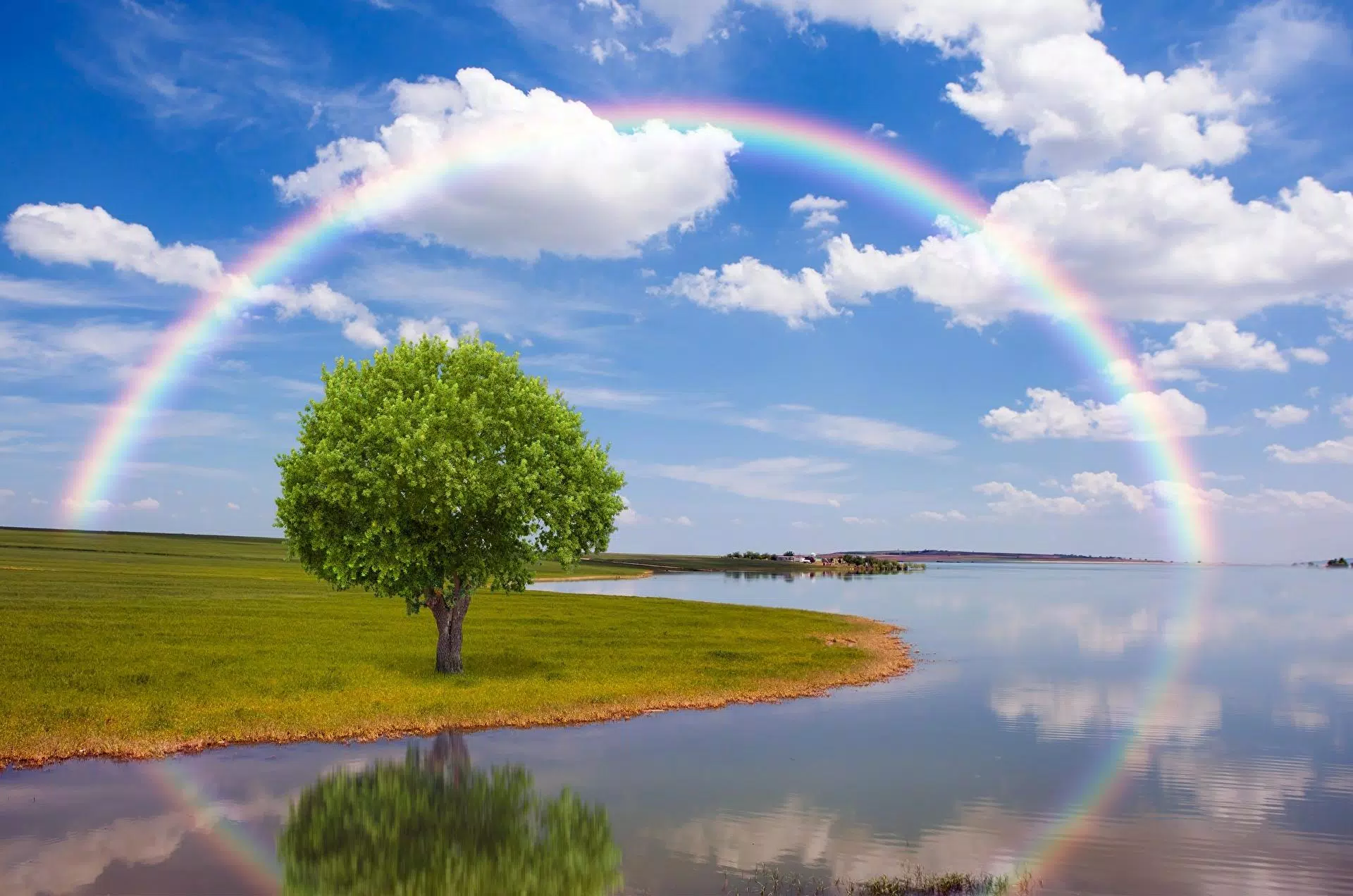 Descarga De Apk De Arcoiris Live Wallpaper Fondos Ao Vivo Para Android