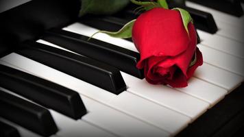 Red Rose Live Wallpaper screenshot 3