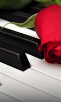 Red Rose Live Wallpaper screenshot 1
