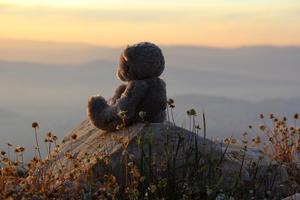 Teddy Bear Live Wallpaper ảnh chụp màn hình 3