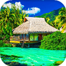 Tropical Live Wallpaper (Wallpapers & Backgrounds)-APK