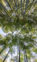 Tropical Live Wallpaper imagem de tela 1