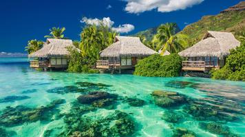 Tropical Live Wallpaper imagem de tela 3